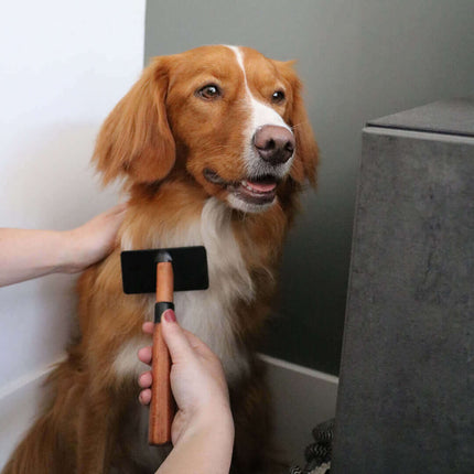 AnimalstoreXL Ebi Japandi Slickerborstel S 18x6x3cm Bruin