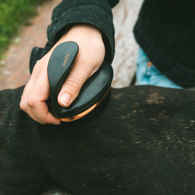 Ebi Noir Ergonomische Weiche - Slickerbürste 11x7x9,5cm