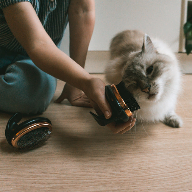 Ebi Noir Ergonomische Weiche - Slickerbürste 11x7x9,5cm