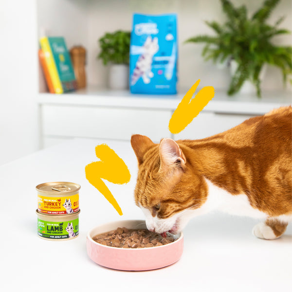 AnimalstoreXL Edgard & Cooper Kat Stukjes-in-saus Lam & Scharrelkip Graanvrij