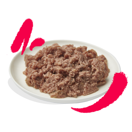 AnimalstoreXL Edgard & Cooper Senior Kat Paté Scharrelkip & Kalkoen Graanvrij