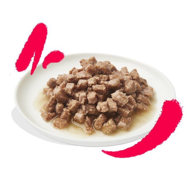 AnimalstoreXL Edgard & Cooper Senior Kat Stukjes-in-saus Scharrelkip & Kalkoen Graanvrij