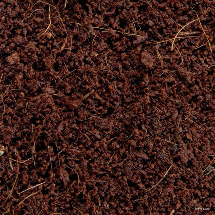 AnimalstoreXL Equatoriaal Bossubstraat 2-in-1 8,8L