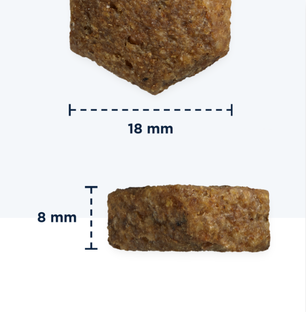 Eukanuba Hundefutter 2,5kg - 3kg