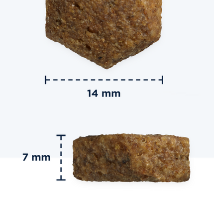 AnimalstoreXL Eukanuba Hondenbrokken Senior Klein/Middelgroot Lam & Rijst 2,5kg