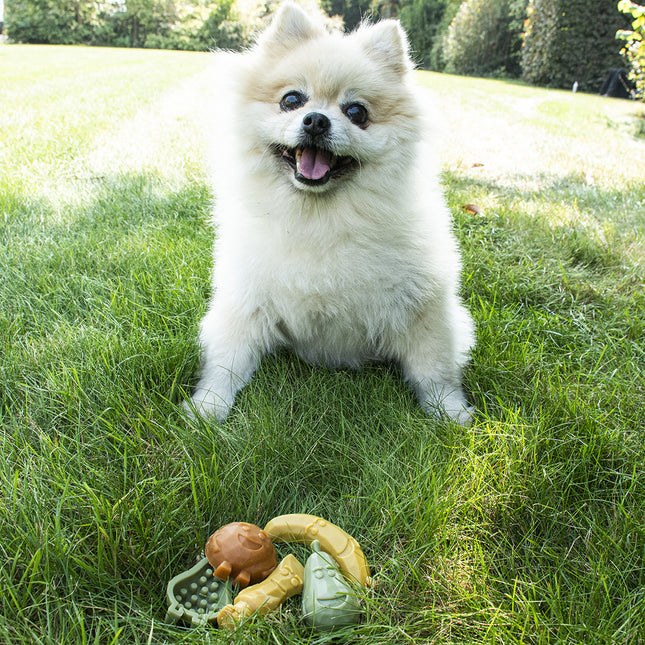 AnimalstoreXL Garden Bites Fruity Friends 7cm 18st