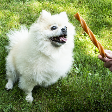 AnimalstoreXL Garden Bites Fruity Dental Swirls 13cm 30st