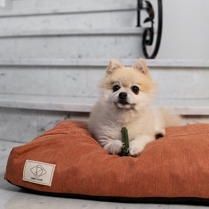 AnimalstoreXL Garden Bites Toby Toothbrush Small Zakje 5cm 50st