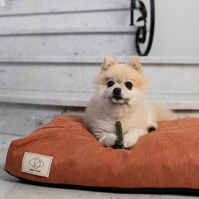 AnimalstoreXL Garden Bites Toby Toothbrush Small Zakje 5cm 50st