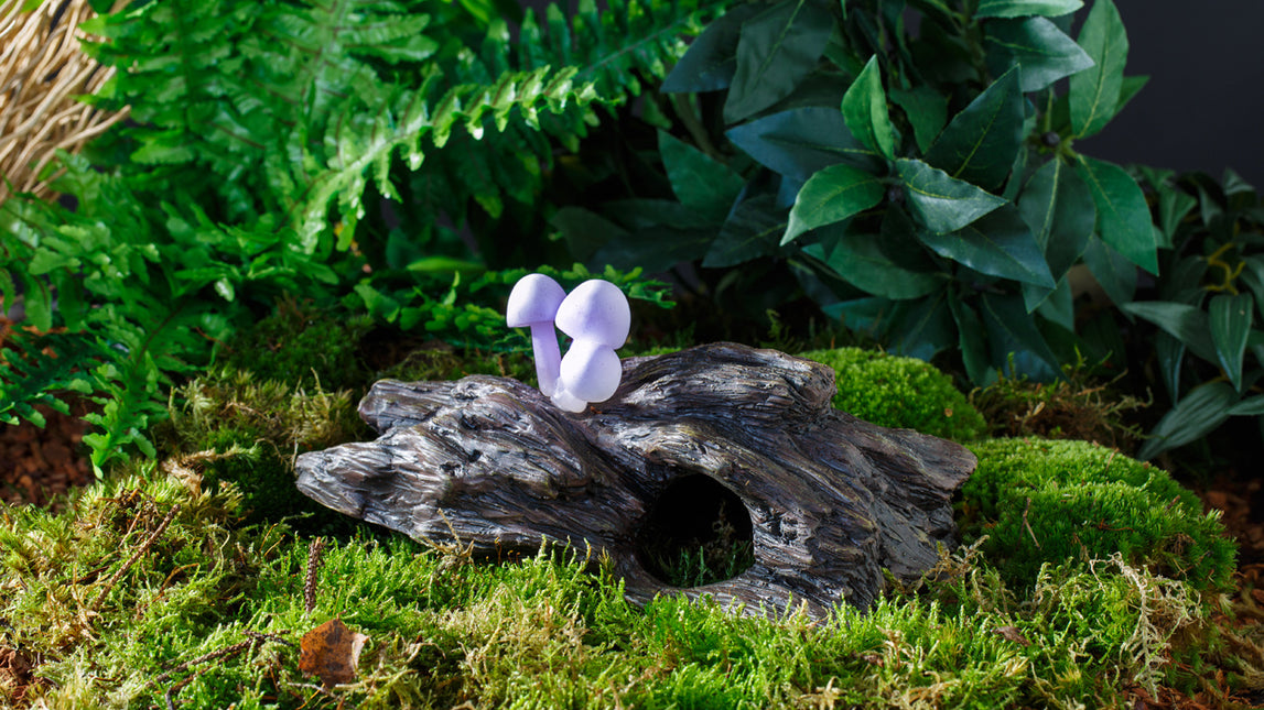 AnimalstoreXL Grot Met Gloeiende Paddenstoelen