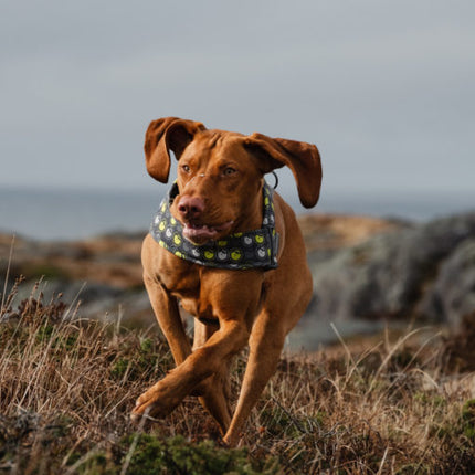 AnimalstoreXL Hurtta Go harnas voor honden