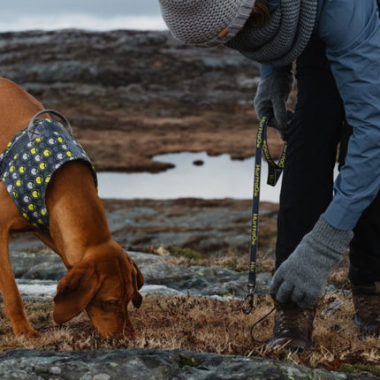 AnimalstoreXL Hurtta Go harnas voor honden