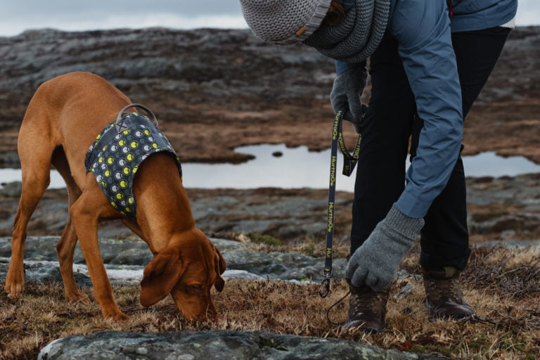 AnimalstoreXL Hurtta Go harnas voor honden