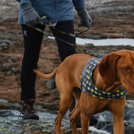 AnimalstoreXL Hurtta Go harnas voor honden