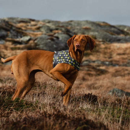 AnimalstoreXL Hurtta Go harnas voor honden