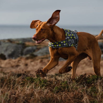 AnimalstoreXL Hurtta Go harnas voor honden