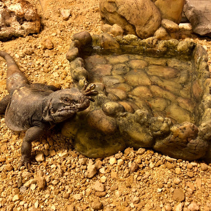 AnimalstoreXL Hoekwaterbak Large