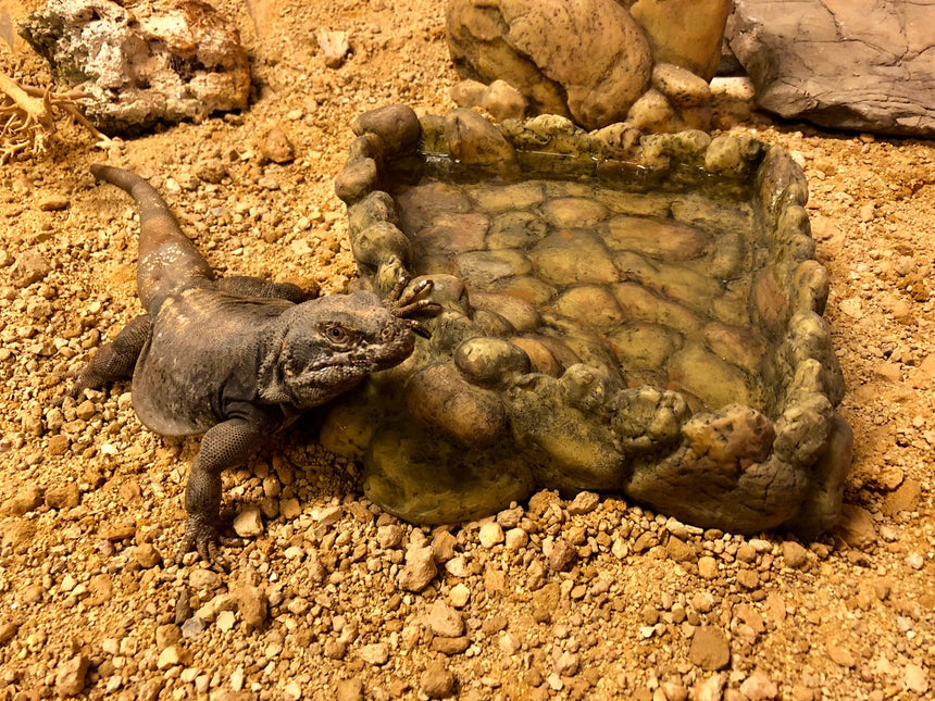 AnimalstoreXL Hoekwaterbak Large