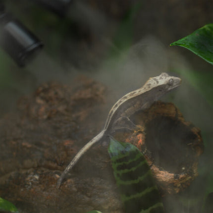 AnimalstoreXL Humidifier Luchtbevochtiger + Digitale Timer