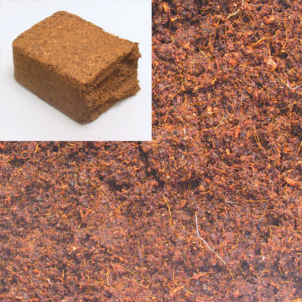 AnimalstoreXL TerraCoco Humus 600g 9 liter