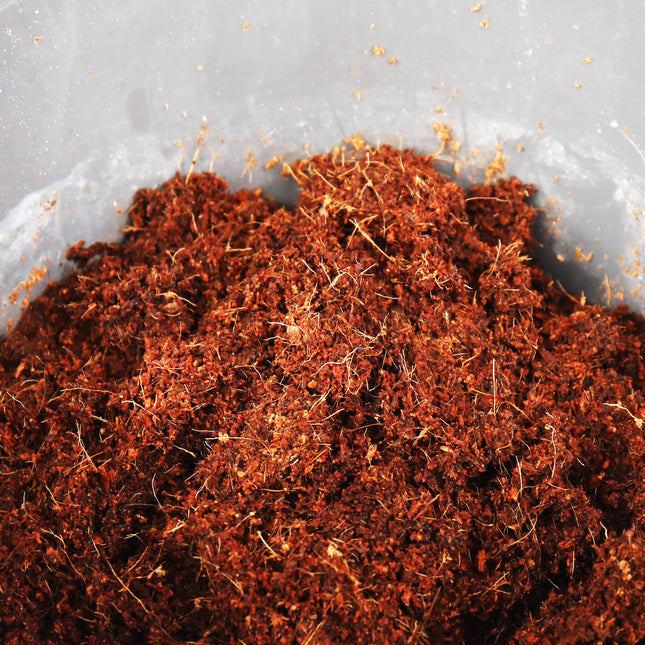 AnimalstoreXL TerraCoco Humus 600g 9 liter