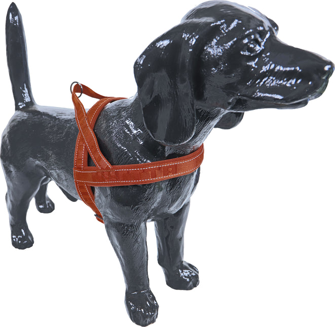 AnimalstoreXL Hurtta Casual harnas cinamon small 35cm