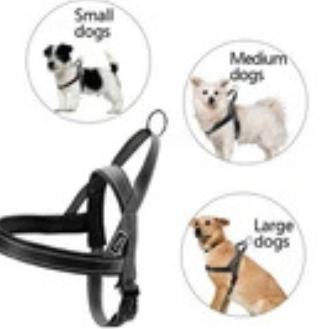 Hurtta Geschirr Casual Eco Schwarz 35-45cm