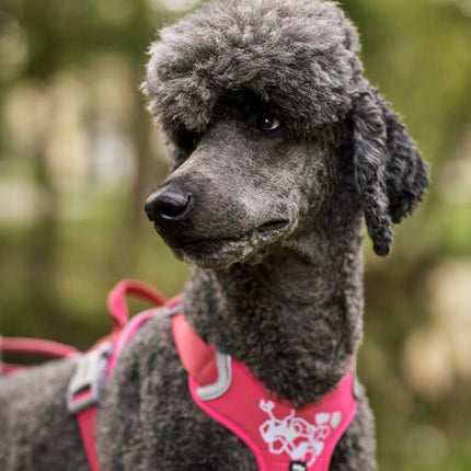 AnimalstoreXL Hurtta hondentuig Weekend Warrior roze