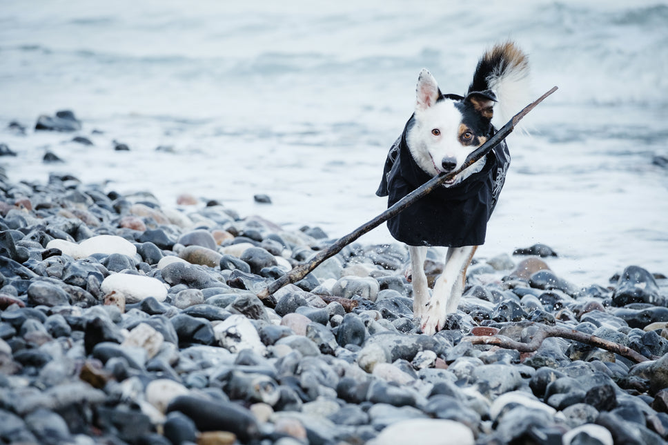 AnimalstoreXL Hurtta Hondenjas Drizzle Coat Raven