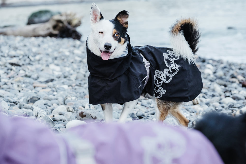 AnimalstoreXL Hurtta Hondenjas Drizzle Coat Raven
