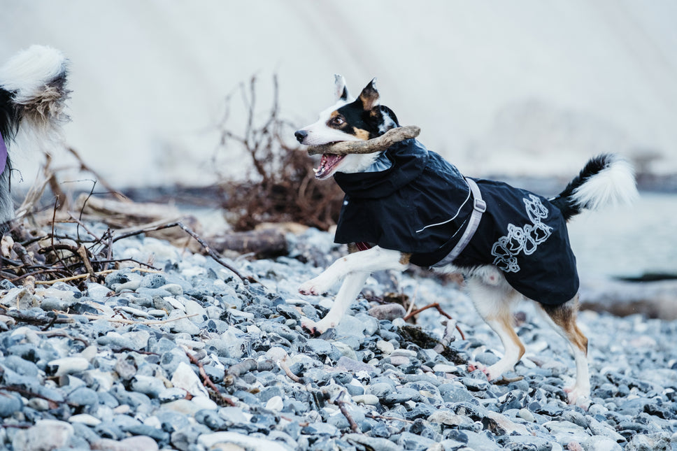 AnimalstoreXL Hurtta Hondenjas Drizzle Coat Raven
