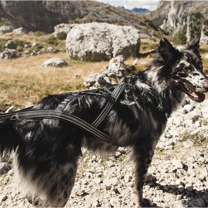 AnimalstoreXL Hurtta hondentuig X-Sport zwart