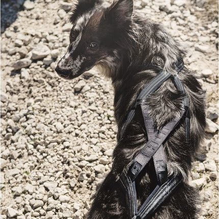 AnimalstoreXL Hurtta hondentuig X-Sport zwart