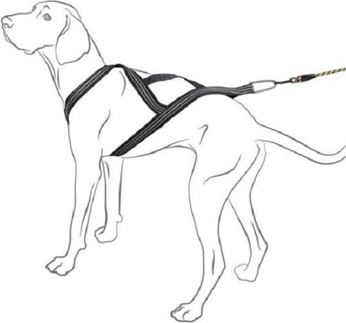 AnimalstoreXL Hurtta hondentuig X-Sport zwart