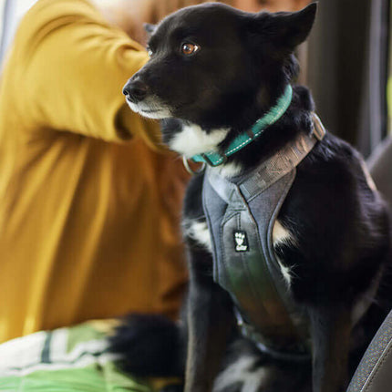 AnimalstoreXL Hurtta Travel Harness Eco Blackb. 0-5kg