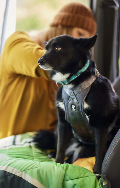 AnimalstoreXL Hurtta Travel Harness Eco Blackb. 0-5kg