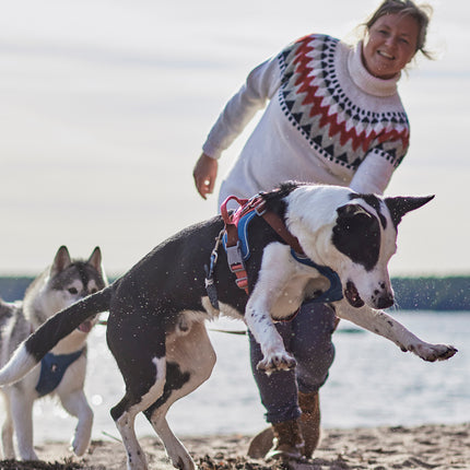 AnimalstoreXL Hurtta Weekend Warrior Warming harnas ECO 80-100cm