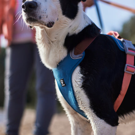 AnimalstoreXL Hurtta Weekend Warrior Warming harnas ECO 80-100cm