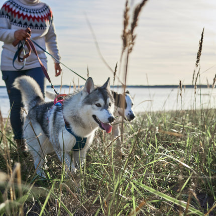 AnimalstoreXL Hurtta Weekend Warrior Warming harnas ECO 80-100cm