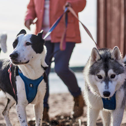 AnimalstoreXL Hurtta Weekend Warrior Warming harnas ECO 80-100cm