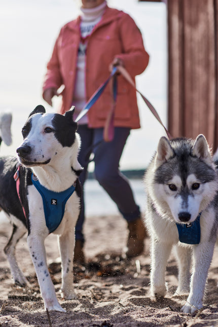 AnimalstoreXL Hurtta Weekend Warrior Warming harnas ECO 80-100cm