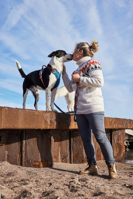 AnimalstoreXL Hurtta Weekend Warrior Warming harnas ECO 80-100cm