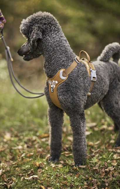 AnimalstoreXL Hurtta hondentuig Weekend Warrior bruin