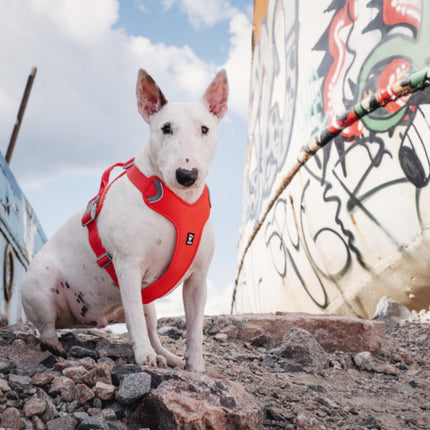 AnimalstoreXL Hurtta hondentuig Weekend Warrior eco rood