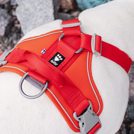 AnimalstoreXL Hurtta hondentuig Weekend Warrior eco rood