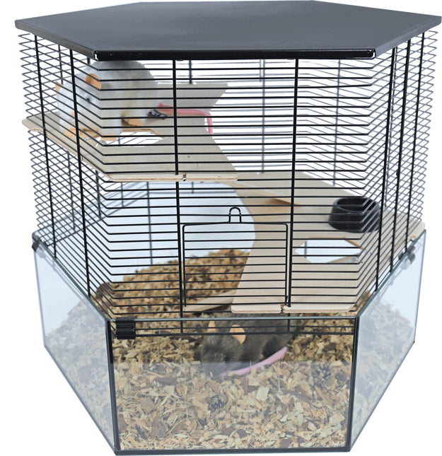 AnimalstoreXL Interzoo Hamsterkooi Vision Hexo xL