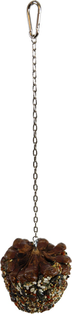 AnimalstoreXL JR Farm Denneappel met Zaad Grasp. en Pap.195gr