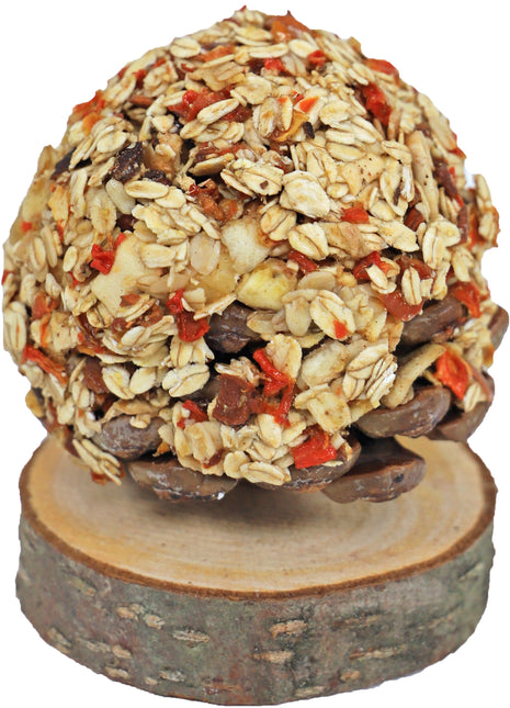 AnimalstoreXL JR Farm Fruitboom 270gr