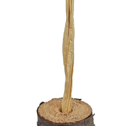 AnimalstoreXL JR Farm Mineraal Ketting 250gr