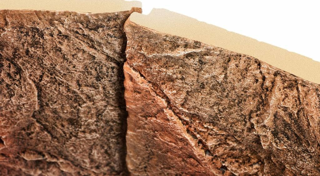 AnimalstoreXL Juwel Achterwand Cliff Dark